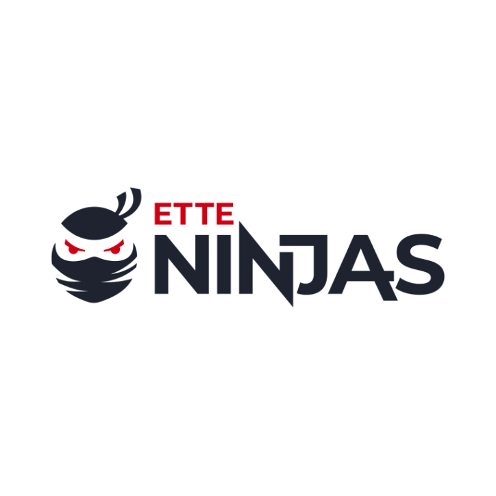 Ette-Ninjas-for-portfolio-1024x576